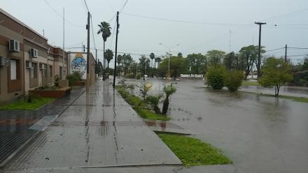 Frente del Municipio Local - 20200121_083141.jpg