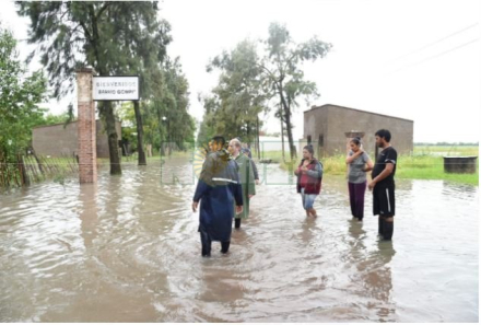 Basail 3.JPG
