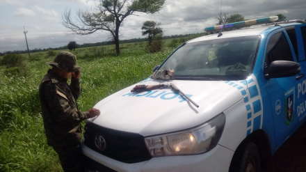 4.jpeg