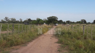 Primer femicidio del año en el Chaco: asesinó a su pareja y luego se suicidó