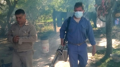 Dengue: intensifican prevención por casos detectados en Sáenz Peña