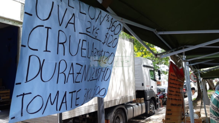 afiche fruderpa.jpeg