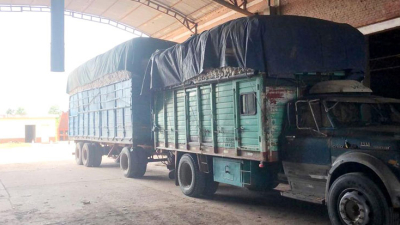 Ingresaron 45.000 kilos de algodón a la cooperativa Güemes de Castelli