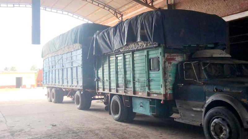 Ingresaron 45.000 kilos de algodón a la cooperativa Güemes de Castelli