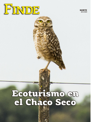 Ecoturismo en el Chaco Seco