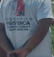 camion Caraguata 3.jpg