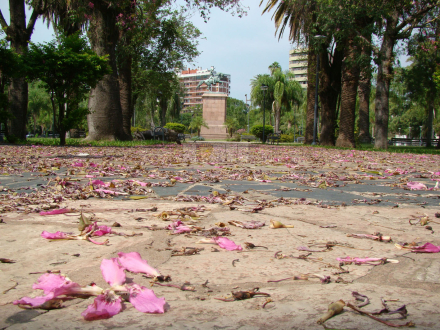 centro03.jpg