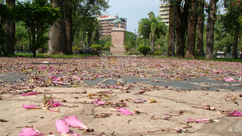 Calles vacías y poca gente es el panorama de la ciudad en cuarentena