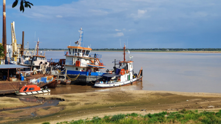 parana.jpg