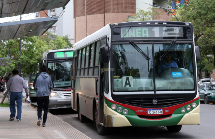 colectivos.jpg