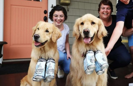 perros-cerveceros-2-640x415.jpg