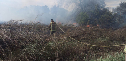 incendio.jpg