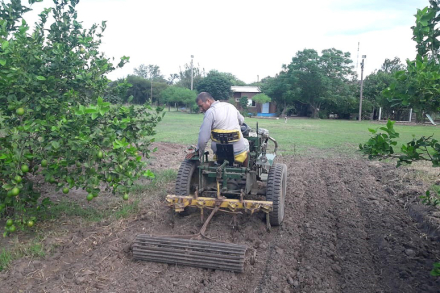 TRACTORCITO-JUAN-ALEG.jpg
