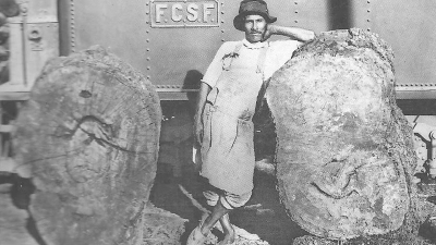 Una visión francesa de La Forestal en 1911