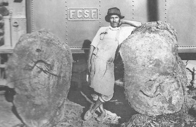 Una visión francesa de La Forestal en 1911