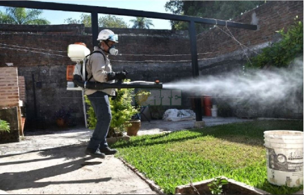 dengue Chaco.JPG