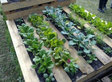 huerta2.jpg