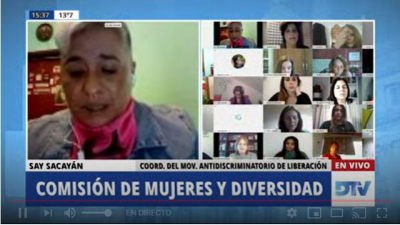 Diputados debate el proyecto de acceso laboral de las personas trans y travestis