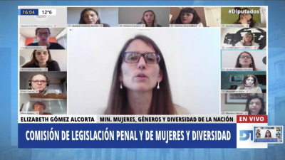 La ministra Gómez Alcorta expuso ante el plenario de diputados sobre iniciativas de Justicia Penal y Género