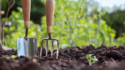 Capacitación sobre manejo sustentable de suelos productivos