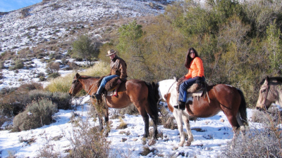 Lobos marinos, acantilados y cabalgatas patagónicas se imponen en el sur argentino