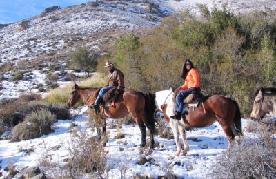 Lobos marinos, acantilados y cabalgatas patagónicas se imponen en el sur argentino