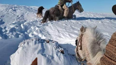 Dramática situación viven la Patagonia por las fuertes nevadas