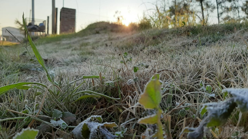 La temperatura en el Chaco fue menor a la de Ushuaia