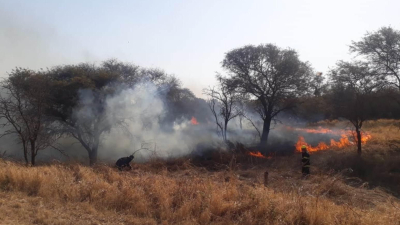 Desde Celul alertan por las importantes pérdidas a causa del fuego en zona rural