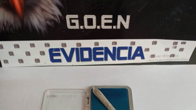 Salta: el incorruptible olfato de una perra