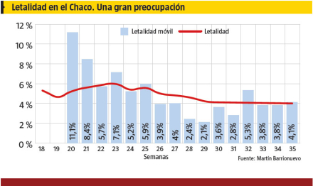 grafico.jpg