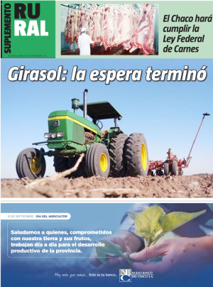 Girasol: la espera terminó