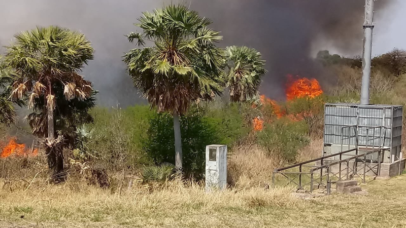 Pastizales al costado de ruta 16 arden en llamas cerca de la YPF