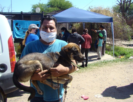 perro 5.jpg