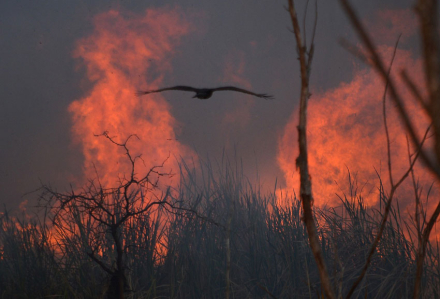 incendio4.jpg