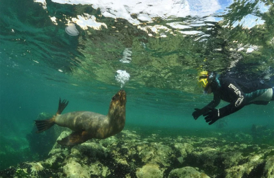 Construirán en Puerto Madryn el primer parque subacuático de Chubut