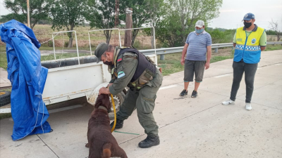 La Leonesa: Gendarmería Nacional Argentina incauto más de 40 kg de drogas 