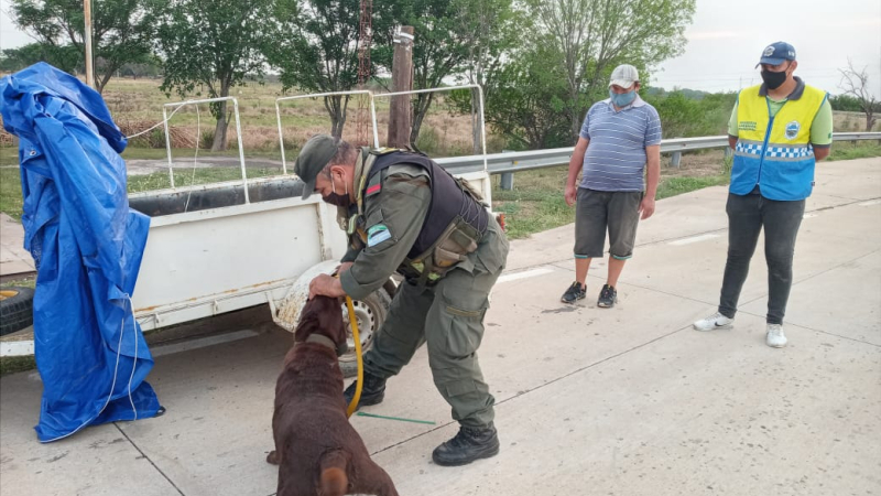 La Leonesa: Gendarmería Nacional Argentina incauto más de 40 kg de drogas