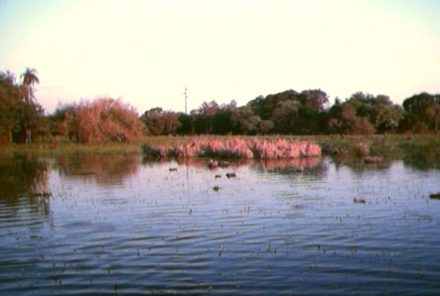 humedales.jpg