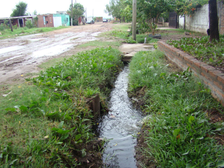 cloacal2.jpg