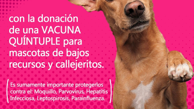 Sumá tu huellita: campaña solidaria para vacunar a mascotas de bajos recursos o en situación de calle