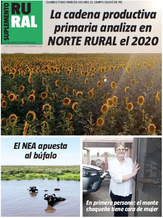 La cadena productiva primaria analiza en NORTE RURAL el 2020