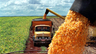 El campo anunció un paro de 72 horas en rechazo al cierre de las exportaciones de maíz