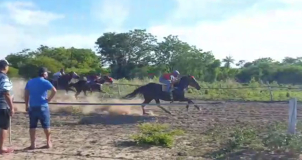 caballos4.jpg