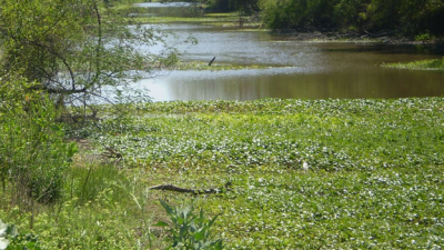 General San Martín: el Río de Oro sigue postergado