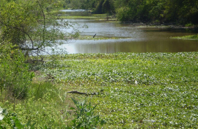 General San Martín: el Río de Oro sigue postergado