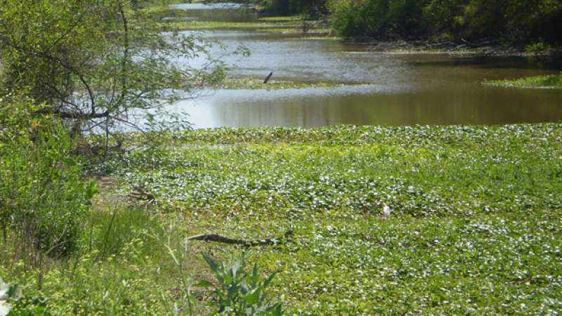 General San Martín: el Río de Oro sigue postergado