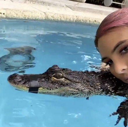 lagarto2.jpg