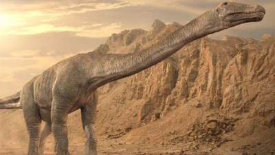 El titanosaurio hallado en Argentina podría ser el animal más grande de la historia
