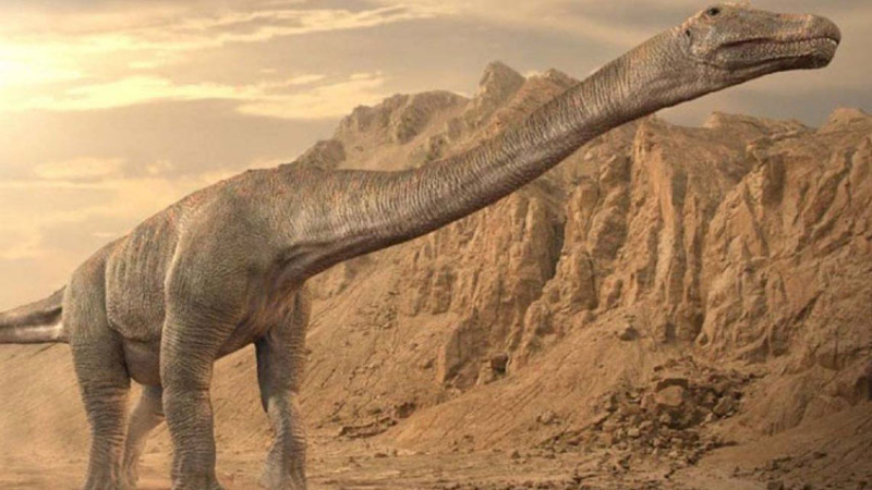 El titanosaurio hallado en Argentina podría ser el animal más grande de la historia